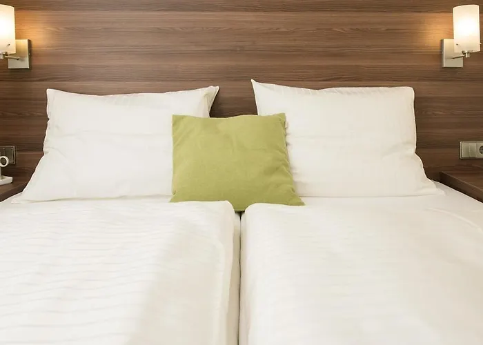 Trip Goethe Conference