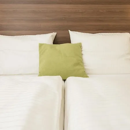 Trip Goethe Conference