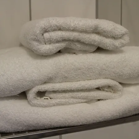 Hotel Trip Goethe Conference 3*