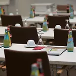 Trip Goethe Conference