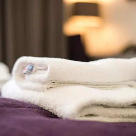 فندق Trip Goethe Conference 3*