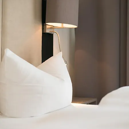Goethe Conference By Trip 3*
