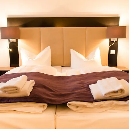 Goethe Conference By Trip Frankfurt am Main