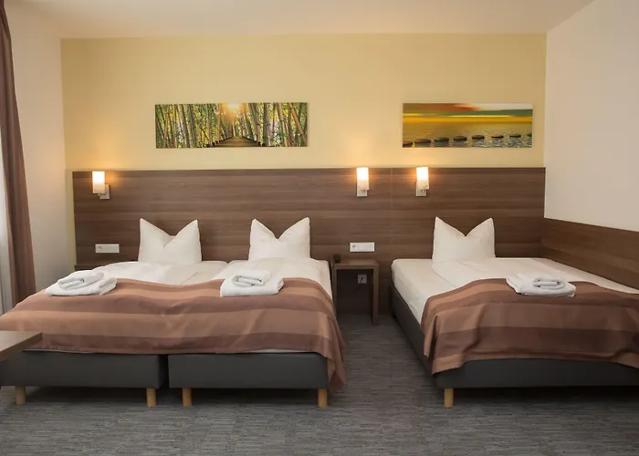 Trip Goethe Conference 3*