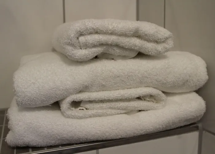 Ξενοδοχείο Trip Goethe Conference 3*