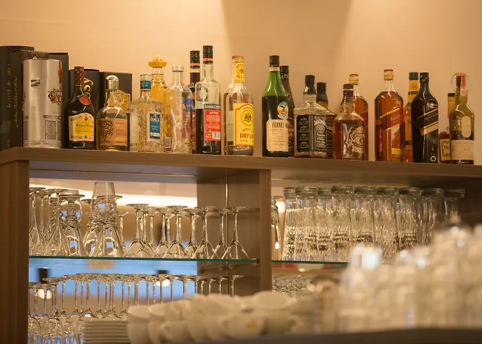 Trip Goethe Conference מלון פרנקפורט