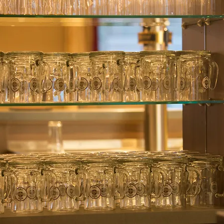 Hotel Trip Goethe Conference